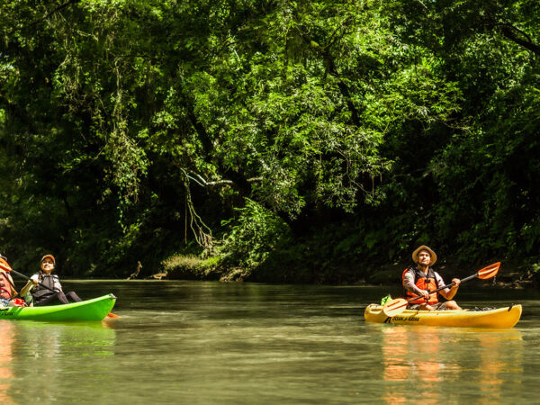 River Safari by Kayak or Boat