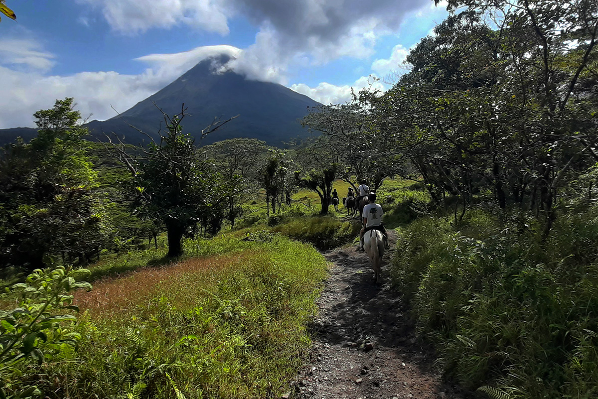 Slide original ARENAL WILBERTH ESTABLE 3